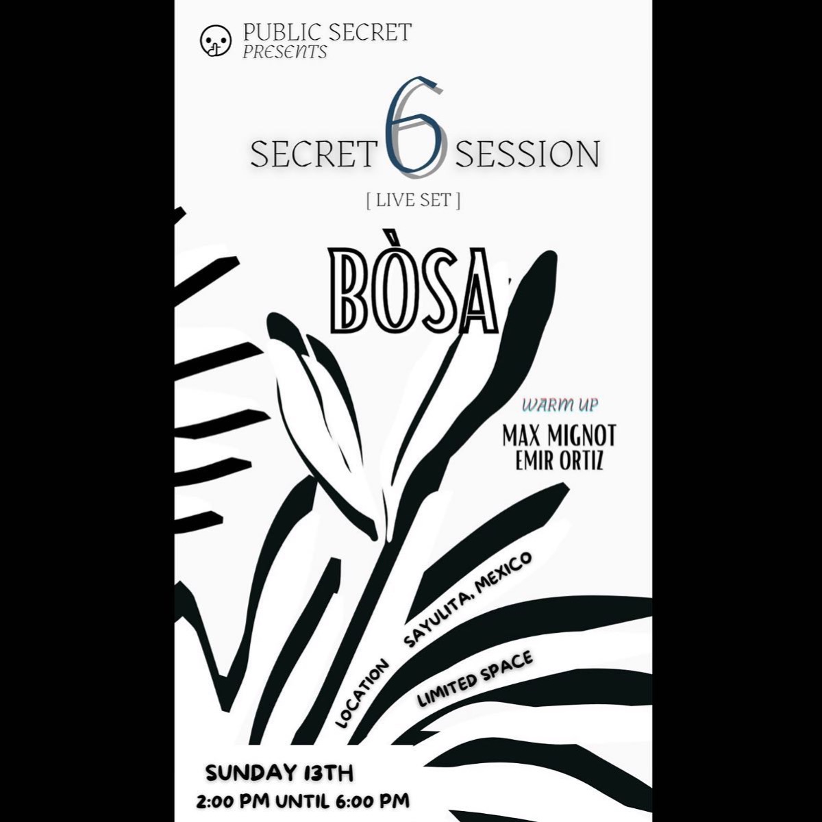 Public Secret: Secret Session 6 flyer, Sunday, February 13, 2022